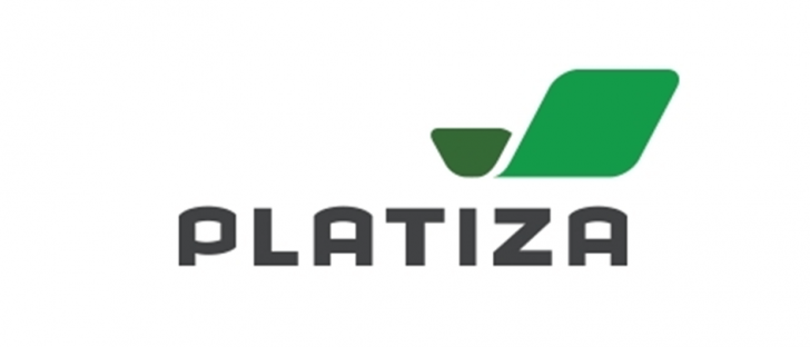 займ в платиза